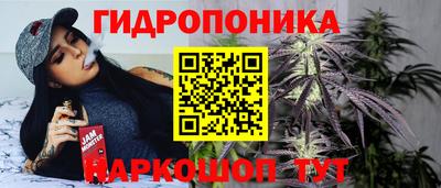 a pvp Будённовск